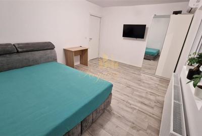 Apartament 1 camera, PRIMA INCHIRIERE, centrala- Zona Lipovei - 3