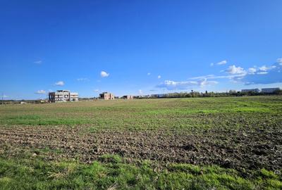 Teren intravilan Balotesti / 5.000 mp / D: 18 m / langa lac / comision 0% Teren intravilan Balotesti / 5.000 mp / D: 18 m / langa lac / comision 0% - 8