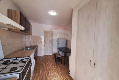 Apartament cu 3 camere decomandat în Sub Arini - 9