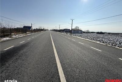 Teren de 16540 mp, în Săucești - 6