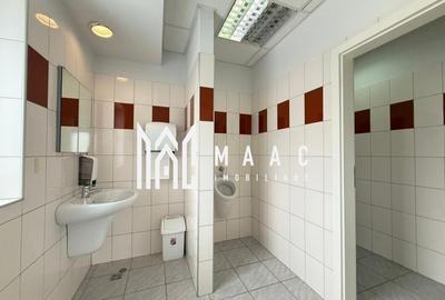 Spatiu de birouri I 186 mpu I Etajul 1 I Zona Sub arini - 9