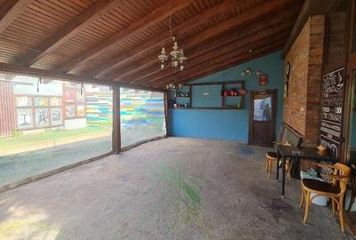 Spațiu comercial, de 320 mp, în Botizului - 6
