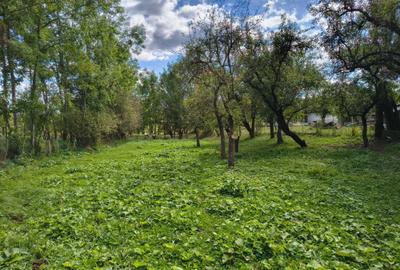 Teren de 2016 mp, în Costești - 6