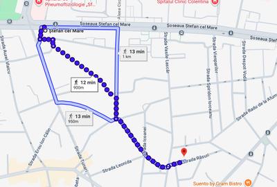 Casă individuală cu 9 camere cu Teren 215 Mp în Eminescu - 29