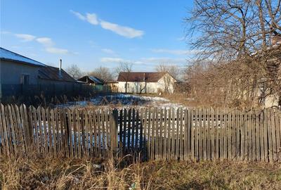 Casă în Fierbinți-Târg - 1