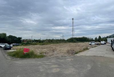 Teren intravilan, investie Hale Industriale, zona Est Teren intravilan, investie Hale Industriale, zona Est - 5
