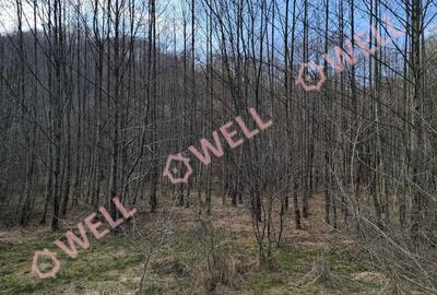 Spațiu comercial, în Central - 3