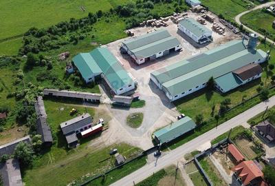 Hale de vanzare-ideale pentru depozit sau productie - 17