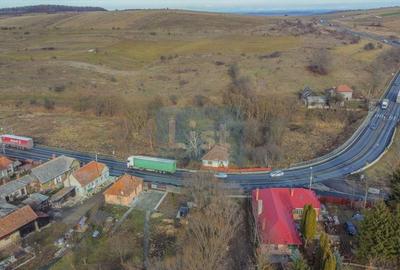 Teren Construcții intravilan de 7400 mp, în Păniceni - 6