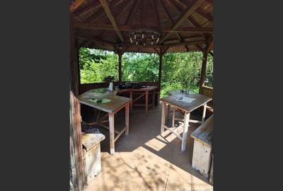 Vila superba 7 camere, Provita de Jos, 22.000 mp teren - 23