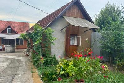 Casă individuală cu 5 camere cu Teren 5200 Mp în Țela - 2