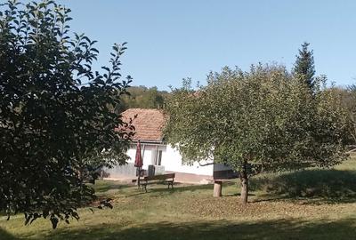 Casă cu 3 camere în Miheșu de Câmpie - 8