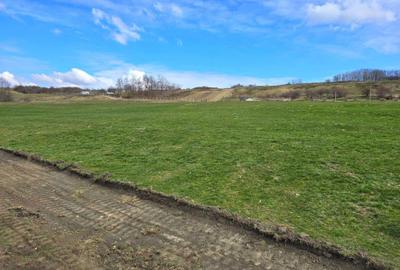 Spațiu comercial, în Câmpenești - 1