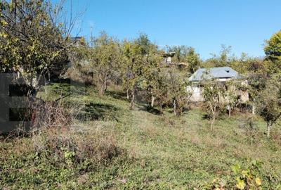 Teren cu priveli?te superba , livada ?i poten?ial casu? - 11