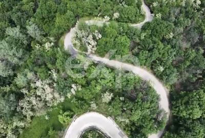 Teren Construcții intravilan de 3052 mp, în Drăganu - 4