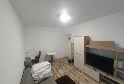 Apartament 1 camera Lunca Cetatuii, Astoria - 6