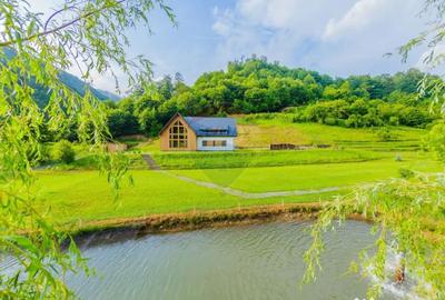 Casă cu 7 camere cu Teren 6370 Mp în Groși - 18