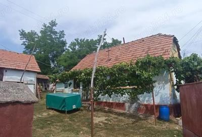 Casă cu 5 camere cu Teren 1600000 Mp în Ghirbom - 1