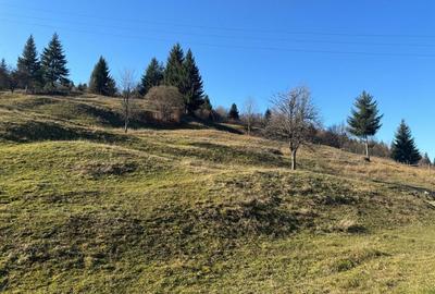 Spațiu comercial, în Vama - 3