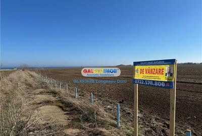 Teren intravilan 47.400 mp, Vama Veche, 200 m de Marea Neagr - 4