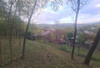 Casa batraneasca cu teren (4.910 mp) la Alunis - 3