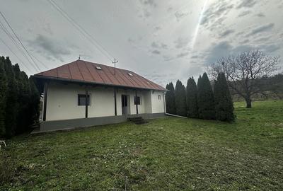 Casă cu 2 camere cu Teren 2700 Mp în Mica - 8
