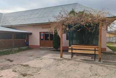Spatiu comercial Sat Otetoaia, comuna Lunca Banului, Husi, - 1
