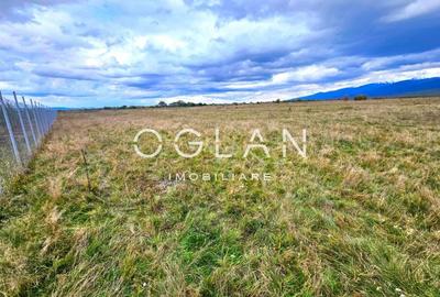 SUPER OFERTA! Teren 2000mp - Valea Avrigului, Sibiu - 9