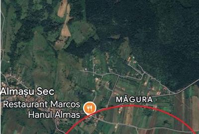 Teren de 4000 mp, în Cârjiți - 1