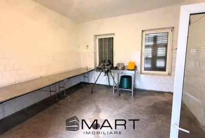 Spațiu comercial, de 250 mp, în Șmig - 9