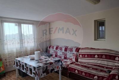 Casa / Vila cu 6 camere de vanzare in zona Calea Seve... - 15