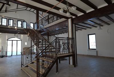 Spațiu comercial, de 600 mp, în Țebea - 5