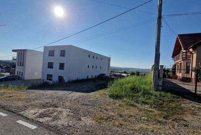 Teren în Criș - 1