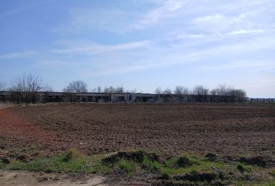 Teren intravilan 16400 mp, Balotesti-Saftica - 50 euro/m2 - 10