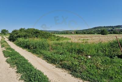 TEREN STEFANESTI! - 3