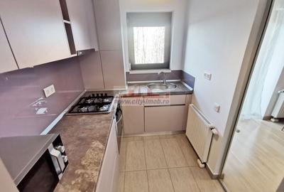 Inchiriere 2 Camere Banu Mata / Titulescu / Bloc nou 2018 , Icon Residence - 19