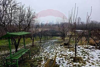 Teren Construcții intravilan de 4516 mp, în Doina - 19