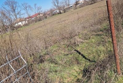 Spațiu comercial, în Rosetti - 3