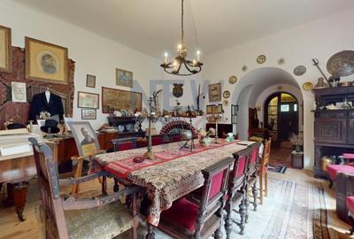 CONACUL GEORGE STEPHANESCU - 2