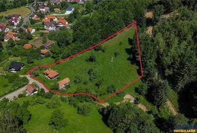 FILM! Casa traditionala pe domeniu de 4.300mp teren, Bran - Simon, Brasov - 16