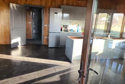 Casă cu Teren 15136 Mp în Central - 19