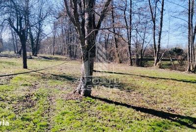 Casă cu 2 camere în Almaș - 13