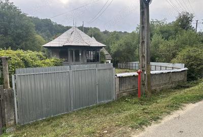 Casă cu 4 camere cu Teren 1000 Mp în Pârâu - 9