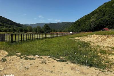 Spațiu comercial, în Plaiul Foii - 5