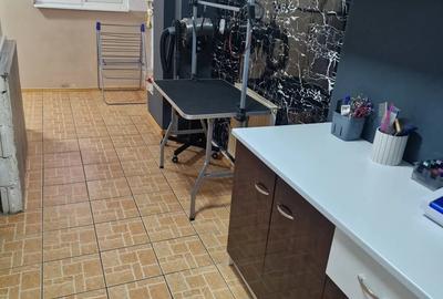 Spațiu comercial, de 30 mp, în Plantelor - 4