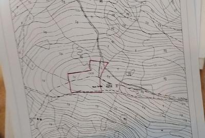 Teren de 25000 mp, în Plai - 2