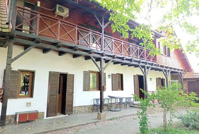 Spațiu comercial, de 431 mp, în Ilidia - 17