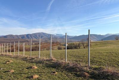 Teren Construcții intravilan de 809 mp, în Exterior Sud - 6