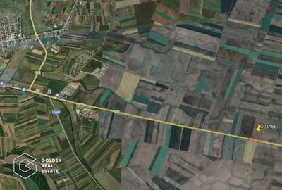 10 ha de teren extravilan la DN 7, Seitin-Nadlac. Oportunitate de investitie! - 1