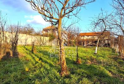 Casă in Parneava pentru afacere sau familie mare - 15